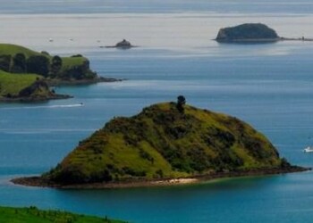 Pic: Mick Fletoridis